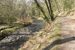 Flowing through Hawkridge Ridge Woods (6)