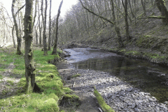 GFlowing through Buckminster Woods  (2)