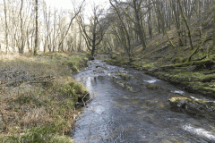 GFlowing through Buckminster Woods  (6)