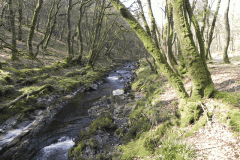 Upstream from Castle Bridge (1)