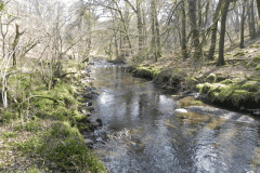 Upstream from Castle Bridge (2)