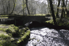 Upstream from Castle Bridge (3)