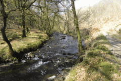 Upstream from Castle Bridge (4)