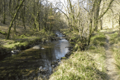 Upstream from Castle Bridge (5)