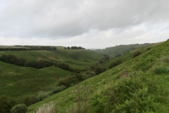 11. Exe Valley from Three Combe Hill looking downstream (3)