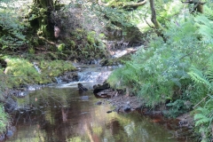 12. Downstream from Warren Bridge below Three Combe Hill (1)