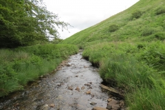 12. Downstream from Warren Bridge below Three Combe Hill (10)