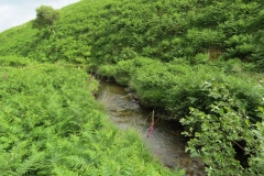 12. Downstream from Warren Bridge below Three Combe Hill (13)