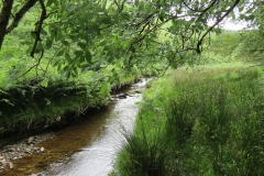 12. Downstream from Warren Bridge below Three Combe Hill (15)
