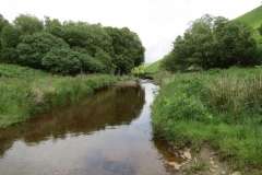 12. Downstream from Warren Bridge below Three Combe Hill (3)