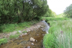 12. Downstream from Warren Bridge below Three Combe Hill (6)
