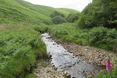 12. Downstream from Warren Bridge below Three Combe Hill (9)