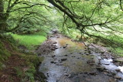 13. Flowing through Exe Cleave upstream from Warren Bridge (10)