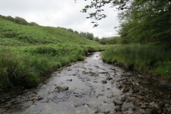 13. Flowing through Exe Cleave upstream from Warren Bridge (11)
