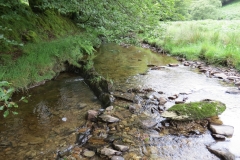 13. Flowing through Exe Cleave upstream from Warren Bridge (12)