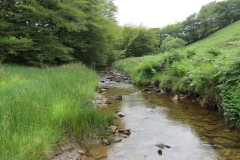 13. Flowing through Exe Cleave upstream from Warren Bridge (15)
