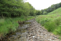 13. Flowing through Exe Cleave upstream from Warren Bridge (16)