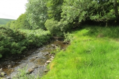 13. Flowing through Exe Cleave upstream from Warren Bridge (2)