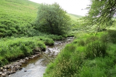 13. Flowing through Exe Cleave upstream from Warren Bridge (4)