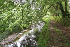13. Flowing through Exe Cleave upstream from Warren Bridge (5)
