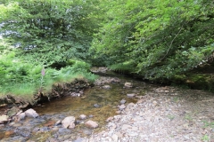 13. Flowing through Exe Cleave upstream from Warren Bridge (8)