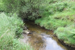 14. Flowing through Exe Cleave below Ware Ball (10)