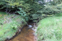 14. Flowing through Exe Cleave below Ware Ball (11)
