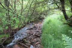 14. Flowing through Exe Cleave below Ware Ball (12)