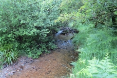 14. Flowing through Exe Cleave below Ware Ball (13)