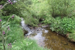 14. Flowing through Exe Cleave below Ware Ball (14)