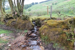 14. Flowing through Exe Cleave below Ware Ball (18)