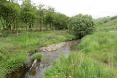 14. Flowing through Exe Cleave below Ware Ball (20)