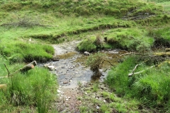 14. Flowing through Exe Cleave below Ware Ball (23)
