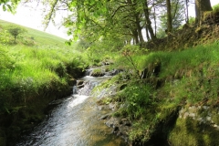 14. Flowing through Exe Cleave below Ware Ball (26)