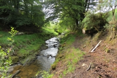 14. Flowing through Exe Cleave below Ware Ball (27)