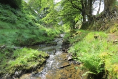 14. Flowing through Exe Cleave below Ware Ball (28)