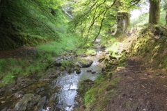 14. Flowing through Exe Cleave below Ware Ball (29)