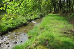 14. Flowing through Exe Cleave below Ware Ball (30)