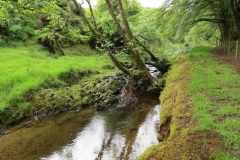14. Flowing through Exe Cleave below Ware Ball (32)