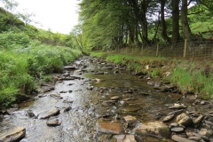 14. Flowing through Exe Cleave below Ware Ball (35)