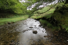 14. Flowing through Exe Cleave below Ware Ball (38)