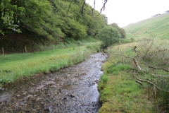 14. Flowing through Exe Cleave below Ware Ball (39)