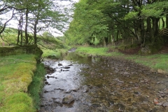 14. Flowing through Exe Cleave below Ware Ball (40)