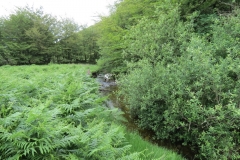 14. Flowing through Exe Cleave below Ware Ball (5)