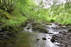 14. Flowing through Exe Cleave below Ware Ball (8)