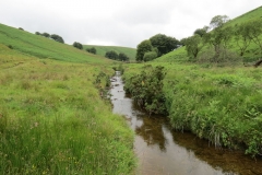 15. Flowing beneath Ware Ball upstream from Westermill (10)