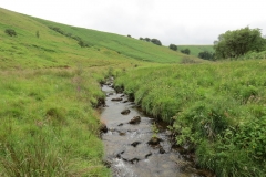 15. Flowing beneath Ware Ball upstream from Westermill (11)