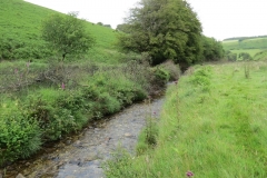 15. Flowing beneath Ware Ball upstream from Westermill (12)
