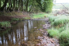 15. Flowing beneath Ware Ball upstream from Westermill (14)