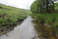 15. Flowing beneath Ware Ball upstream from Westermill (17)